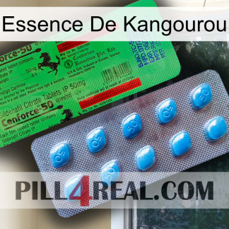 Kangaroo Essence new03